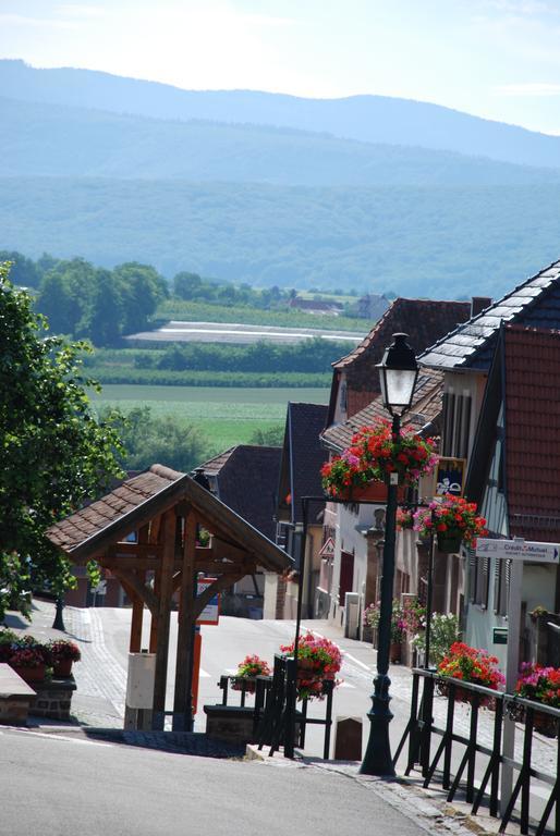 La Maison De Georges - Les Coquelicots Scharrachbergheim-Irmstett 客房 照片